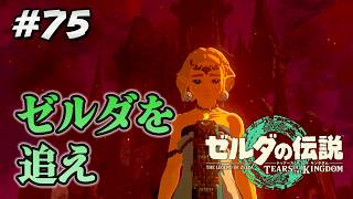 #75【ゼルダの伝説ティアーズオブザキングダム】ハイラル城～ゼルダと魔物、時々迷子