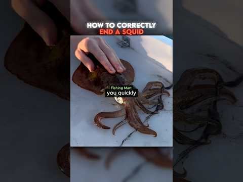 Fisherman Shows How To End A Squid