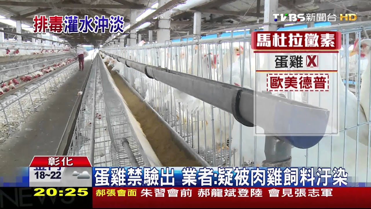 雞蛋驗出乃卡巴精 驅蟲劑過量恐傷腎