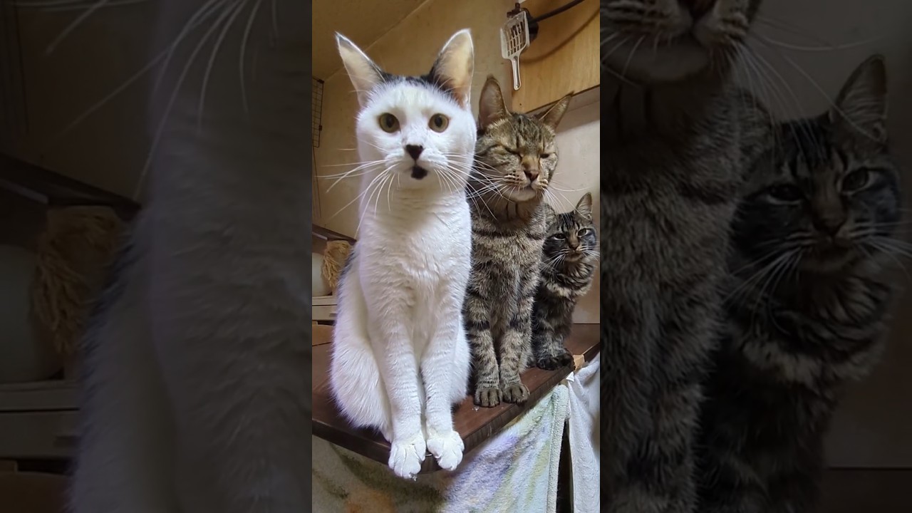 ママに怒られた💦　楓&まるこ