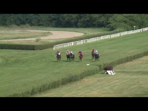 2017.08.13. 8. futam - KOZMA FERENC EMLÉKVERSENY (HUN Gd-2) (NGL - VI.)