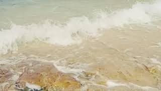 Download lagu STORY WA LIBURAN KE PANTAI 😍 mp3 Download lagu STORY WA LIBURAN KE PANTAI 😍 mp3