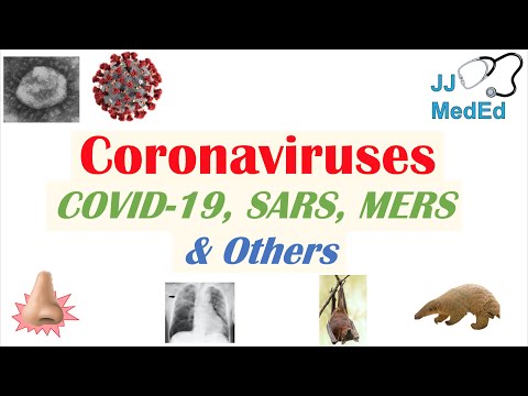 Schistosomiasis Bilharziasis Causes Symptoms and Treatment