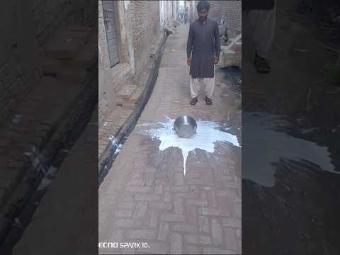 The dog spilled the boy's milk.