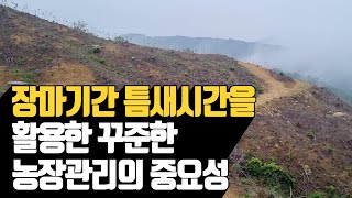 장마기간 틈새시간을 활용한 꾸준한 농장관리의 주…