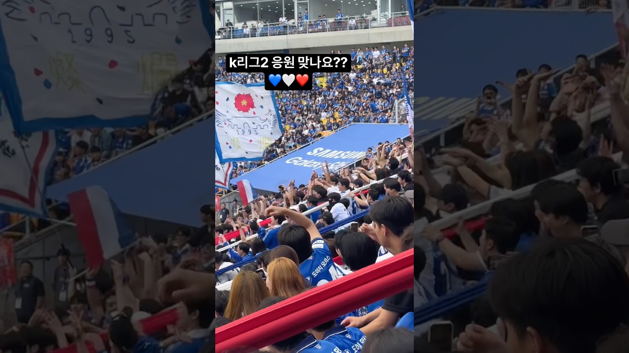 파도타기 응원????????❤️ #수원삼성 #k리그 #응원 #축구 #football #soccer