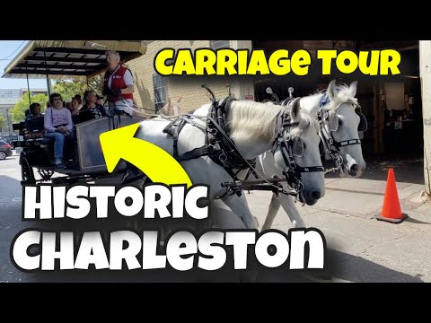 , title : 'History Carriage Tour Charleston South Carolina Palmetto Carriage Works'
