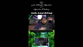 Ball Python & Snake Q&A