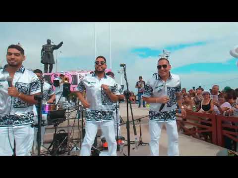 LOBO DOMESTICADO ♪  - Orquesta ZAPEROKO La Resistencia Salsera del Callao