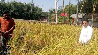 ভিডিও গ্যালারী