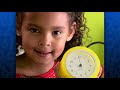 BARNEY COUNTING SET
