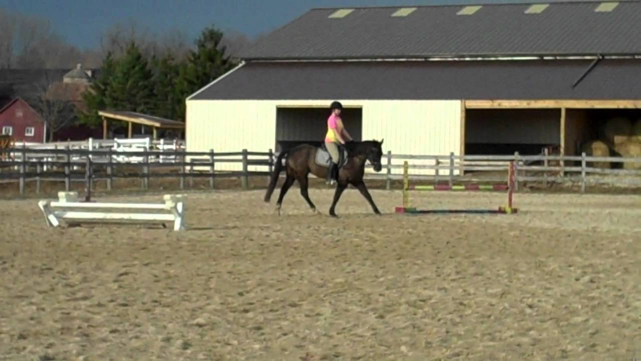 Pepper's Second Chance - First Lesson