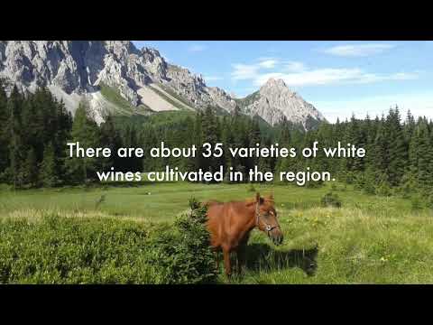 Friuli-Venezia Giulia Fast Facts