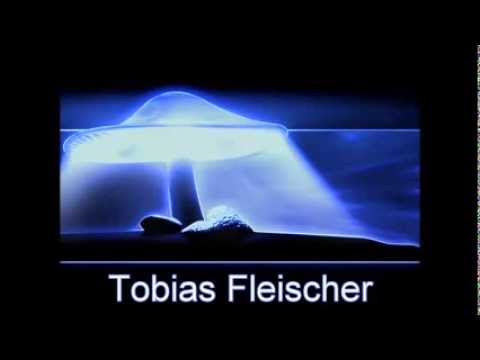 Tobias Fleischer - Gesteint