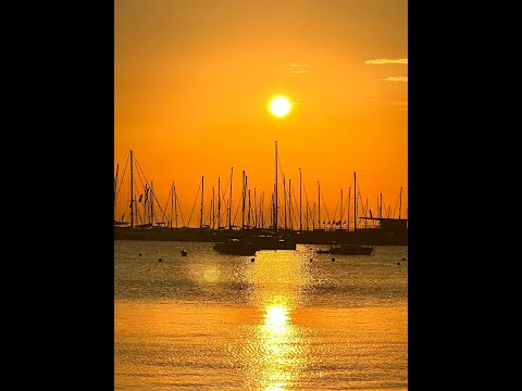 Zac Harris Condado de Alhama House Sunset DJ Set 2024 thumbnail