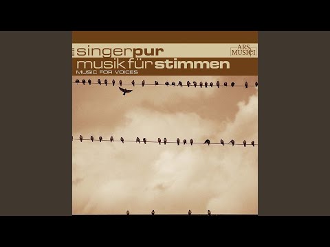 Mein Gmüth ist mir verwirret