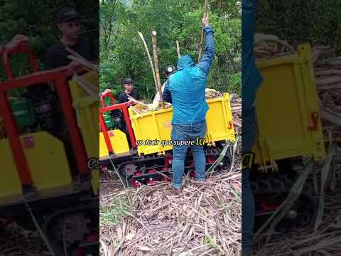 Vivimos una gran jornada en Villeta, Cundinamarca, junto a Fedepanela y el Fondo de Fomento Panelero