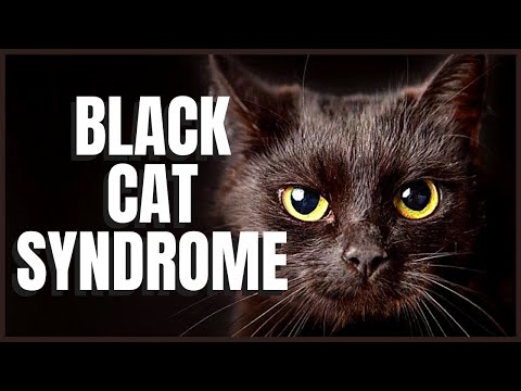 Black Cat Syndrome: Fact or Myth?