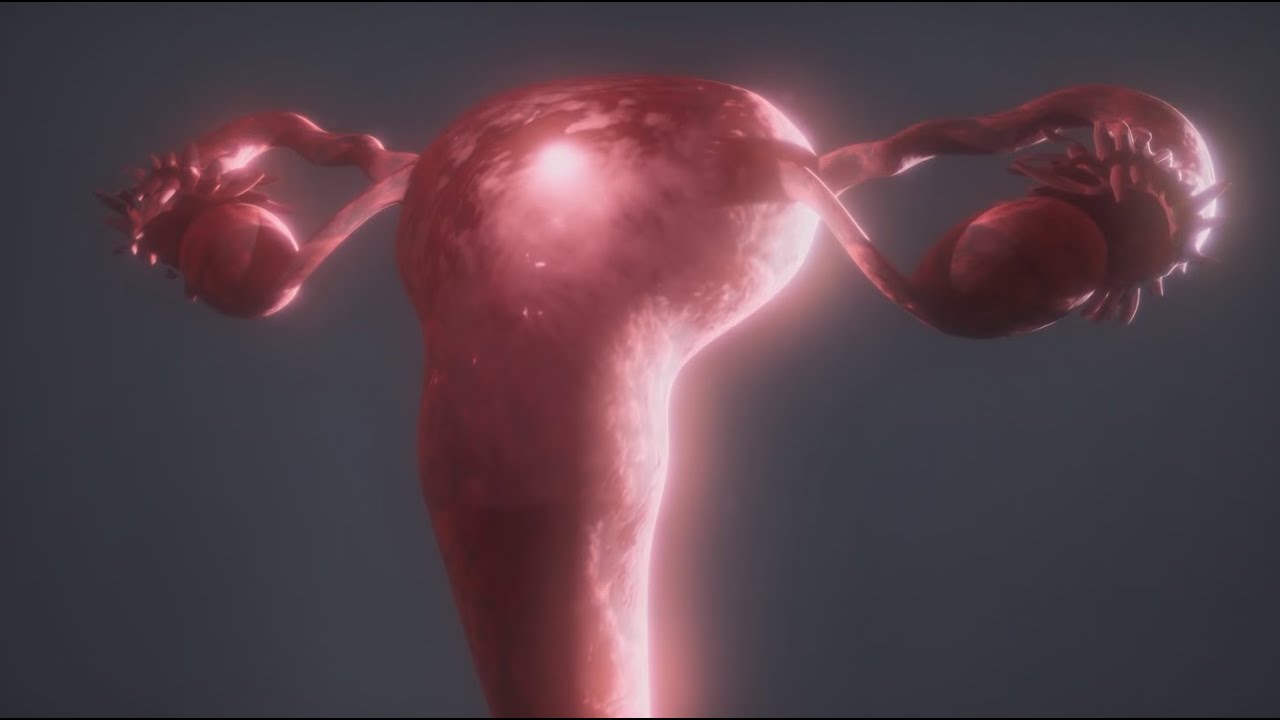 🩺 Viver Melhor -  Menopausa