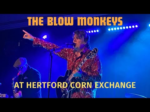 The Blow Monkeys at Hertford Corn Exchange 2024
