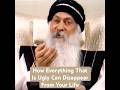 OSHO How Everything That Is Ugly Can Disappear From Your Life
