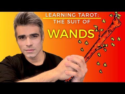 SUIT OF WANDS: MEANINGS OF ALL 14 CARDS