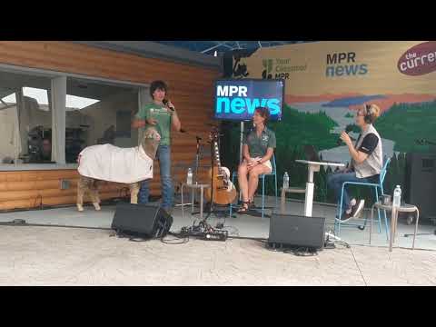 Henry and Gladiolus on MPR promoting 4-H