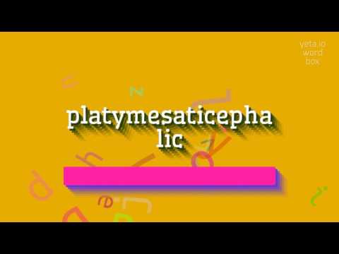 PLATYMESATICEPHALIC - HOW TO PRONOUNCE IT? #platymesaticephalic