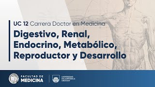Fisiología - Circulación renal y filtración glomerular