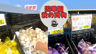 I went to Kokkaen to buy autumn seed potatoes [Dejima] [Nishiyutaka] [Aimasari] [White garlic] [J...