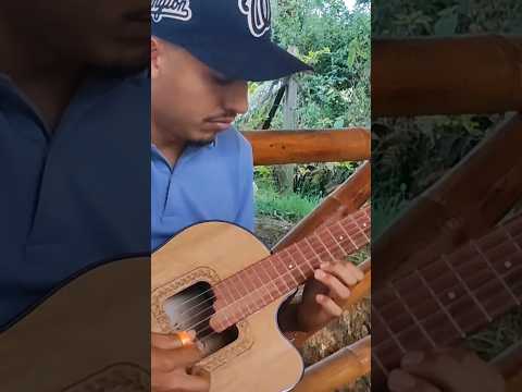 Un pedacito de “Blanquita” en versión carranguera 🎶Desde Gachalá, Cundinamarca 🇨🇴