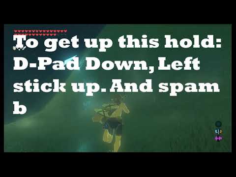 How to skip Trial Of The Sword In BOTW | Part 3-3