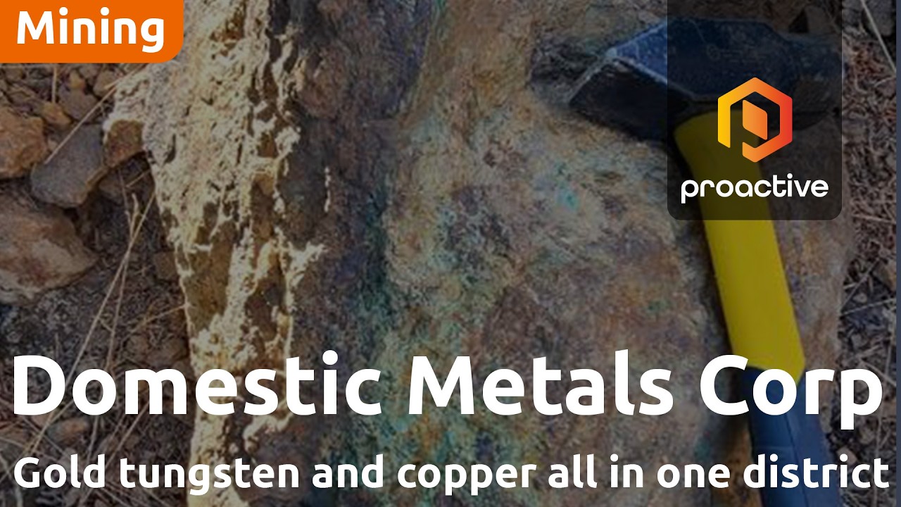 Geologist Peter Megaw: Domestic Metals' Smart Creek sits in gold-tungsten 'elephant country'