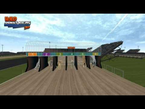 Wild Animals Racing 3D Video