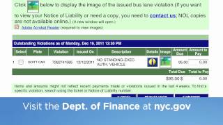 How do I check the status of a parking ticket online