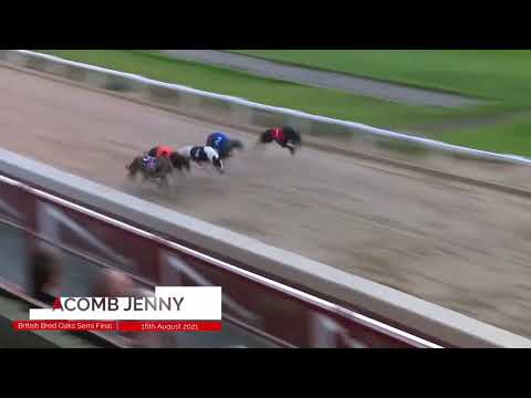 Acomb Jenny - BGBF British Bred Oaks Semi Final 1