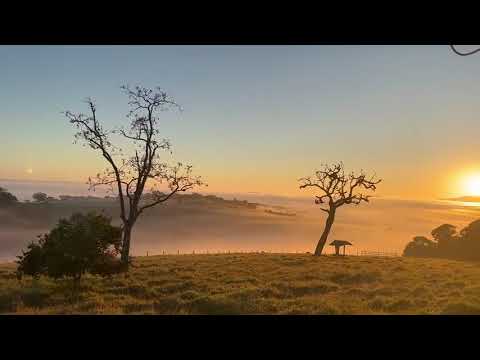 Amanhecer no Campo. Horizontes de Paz. Santana do Garambéu. Minas. Julho de 2026.
