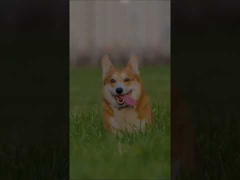 YanuHills - Teaser Video 6