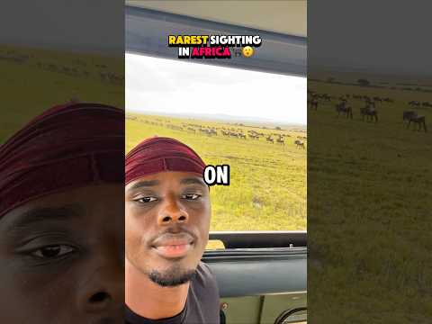 S2-65🎒😮Witnessing THE GREAT MIGRATION🐃#otmc