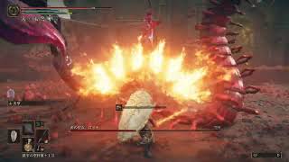 蕾の聖女ロミナ Lv120 加護0 エルデンリング DLC ボス (初攻略時)【ELDEN RING DLC BOSS:Romina, Saint of the Bud SOLO】