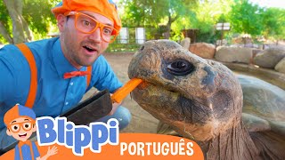 Blippi Alimenta os Animais do Zoológico! 🐢 Melhores Episódios 🟠 Vídeos Educativos para Crianças