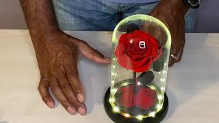 Preserved Flower Rose Eternal Rose Real Rose in Glass Dome Gift Review, Beautiful gift for any occas