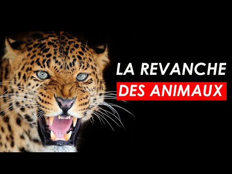 Accueil Cooperations Office