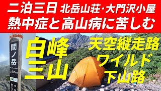 【南アルプス】白峰三山(北岳・間ノ岳・農鳥岳)縦走 二泊三日 テント泊(北岳山荘) & 山小屋泊(大門沢小屋) 2024年8月3～5日 高山病と熱中症に苦しむ  天空の縦走路とワイルドな下山路