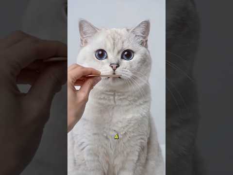 Exam Medical Simplu #viralvideo