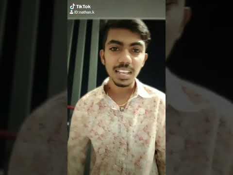 Yiveleh - Havoc Brothers || Nathen K || Tik Tok || Musical.ly || PU4LYF