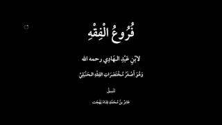 شرح فروع الفقه لابن المبرد 19 image