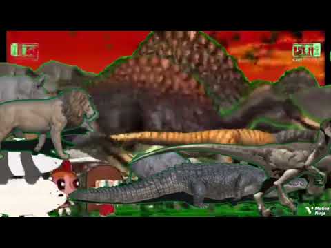 Animal Stampede Part 101