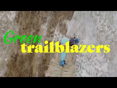 愛沙尼亞蘆葦收割機制作環保稻草 (Estonian reed harvesters make eco-friendly straws)