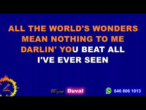 Rhonda Vincent - You beat All I've Ever Seen Lyrics